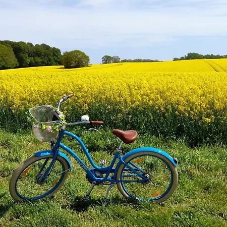 Waldidyll - Erholung Zwischen Schlei Und Ostsee Casa de Férias Winnemark